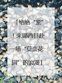 绝绝“紫”！来郧西县赴一场“莫奈花园”的浪漫