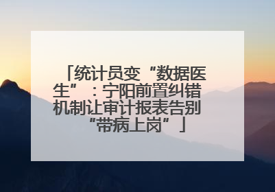 统计员变“数据医生”：宁阳前置纠错机制让审计报表告别“带病上岗”
