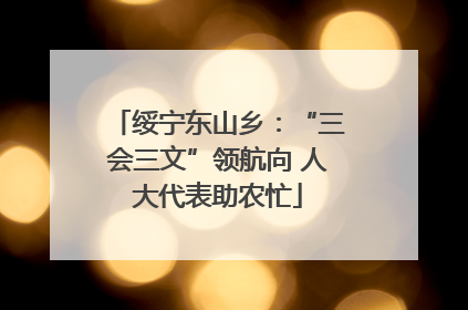 绥宁东山乡：“三会三文”领航向 人大代表助农忙