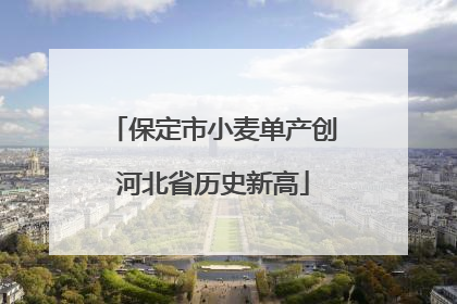 保定市小麦单产创河北省历史新高