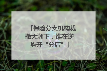 保险分支机构裁撤大潮下，谁在逆势开“分店”