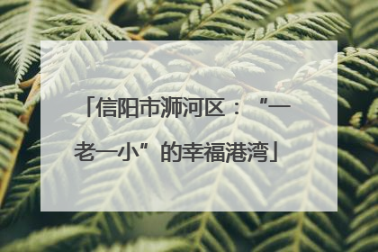 信阳市浉河区：“一老一小”的幸福港湾