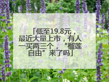 低至19.8元，最近大量上市，有人一买两三个，“榴莲自由”来了吗