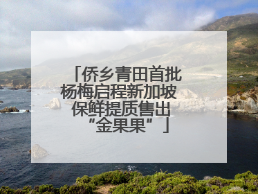 侨乡青田首批杨梅启程新加坡 保鲜提质售出“金果果”