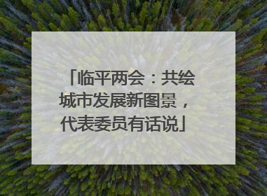 临平两会：共绘城市发展新图景，代表委员有话说