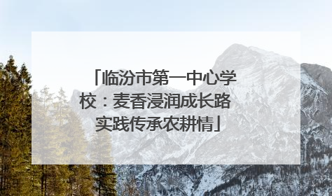临汾市第一中心学校：麦香浸润成长路 实践传承农耕情