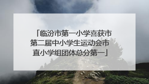 临汾市第一小学喜获市第二届中小学生运动会市直小学组团体总分第一