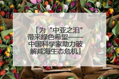 为“中亚之泪”带来绿色希望——中国科学家助力破解咸海生态危机