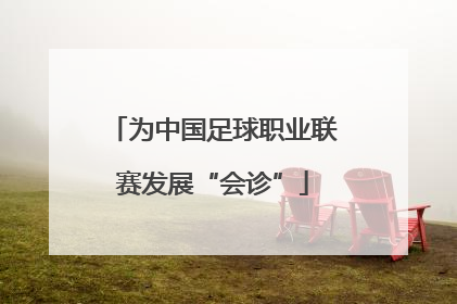 为中国足球职业联赛发展“会诊”