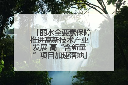 丽水全要素保障推进高新技术产业发展 高“含新量”项目加速落地