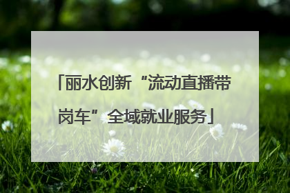 丽水创新“流动直播带岗车”全域就业服务