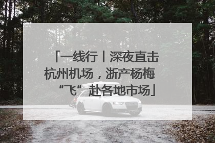 一线行丨深夜直击杭州机场，浙产杨梅“飞”赴各地市场