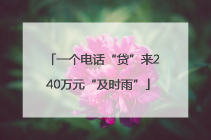 一个电话“贷”来240万元“及时雨”