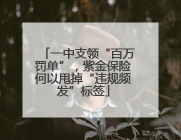 一中支领“百万罚单”，紫金保险何以甩掉“违规频发”标签