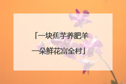 一块蕉芋养肥羊 一朵鲜花富全村