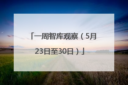 一周智库观察（5月23日至30日）