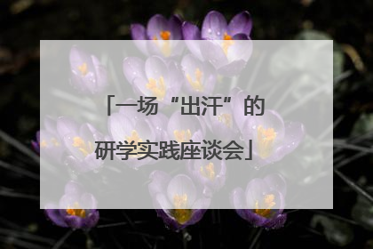 一场“出汗”的研学实践座谈会