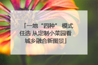 一地“四种” 模式任选 从定制小菜园看城乡融合新图景