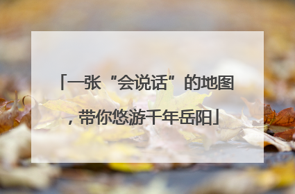 一张“会说话”的地图，带你悠游千年岳阳