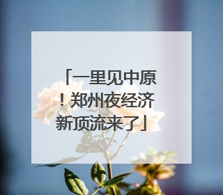 一里见中原！郑州夜经济新顶流来了