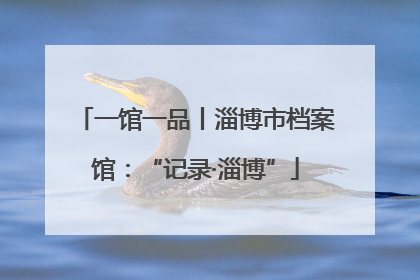 一馆一品丨淄博市档案馆：“记录·淄博”