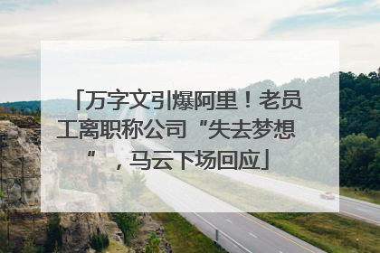 万字文引爆阿里！老员工离职称公司“失去梦想”，马云下场回应