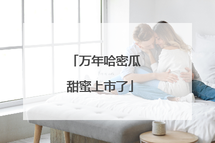 万年哈密瓜甜蜜上市了