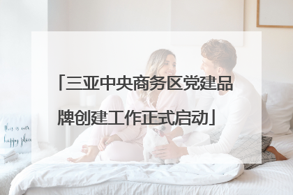三亚中央商务区党建品牌创建工作正式启动