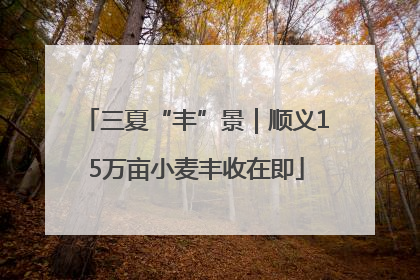 三夏“丰”景｜顺义15万亩小麦丰收在即