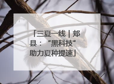 三夏一线｜郏县：“黑科技”助力夏种提速
