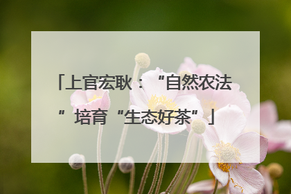 上官宏耿：“自然农法”培育“生态好茶”