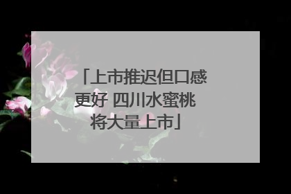 上市推迟但口感更好 四川水蜜桃将大量上市