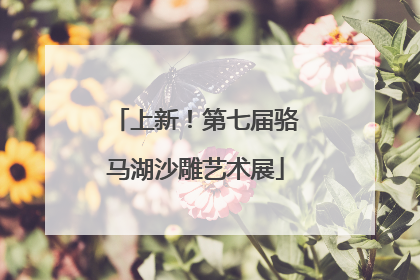 上新!第七届骆马湖沙雕艺术展