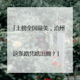 上榜全国最美，沧州这条路凭啥出圈？