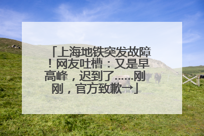 上海地铁突发故障！网友吐槽：又是早高峰，迟到了……刚刚，官方致歉→