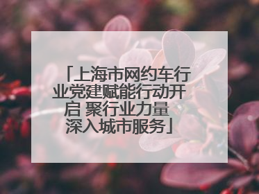 上海市网约车行业党建赋能行动开启 聚行业力量 深入城市服务