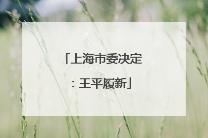上海市委决定：王平履新
