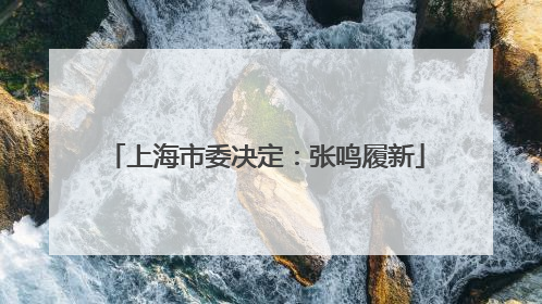 上海市委决定：张鸣履新