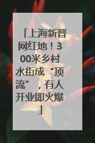 上海新晋网红地！300米乡村水街成“顶流”，有人开业即火爆