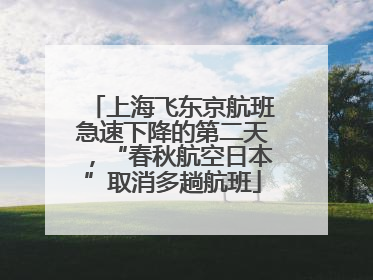 上海飞东京航班急速下降的第二天，“春秋航空日本”取消多趟航班