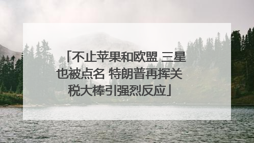 不止苹果和欧盟 三星也被点名 特朗普再挥关税大棒引强烈反应