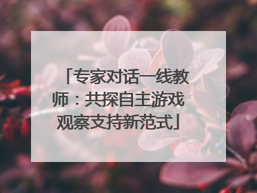 专家对话一线教师：共探自主游戏观察支持新范式