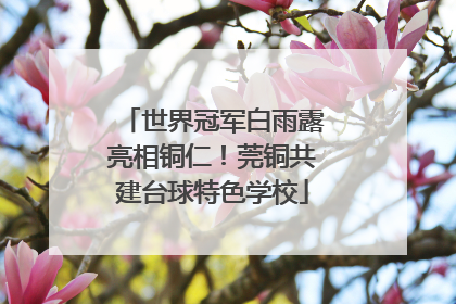 世界冠军白雨露亮相铜仁！莞铜共建台球特色学校