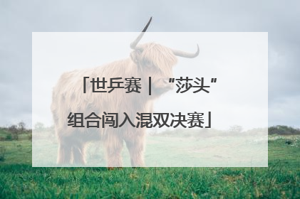 世乒赛｜“莎头”组合闯入混双决赛