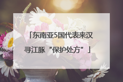 东南亚5国代表来汉寻江豚“保护处方”