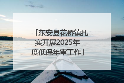 东安县花桥镇扎实开展2025年度低保年审工作