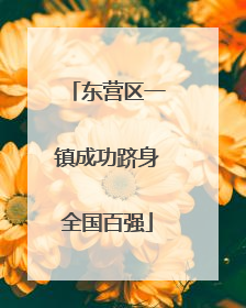 东营区一镇成功跻身全国百强