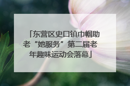 东营区史口镇巾帼助老“她服务”第二届老年趣味运动会落幕