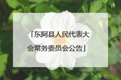 东阿县人民代表大会常务委员会公告