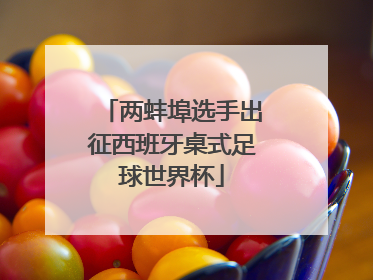两蚌埠选手出征西班牙桌式足球世界杯